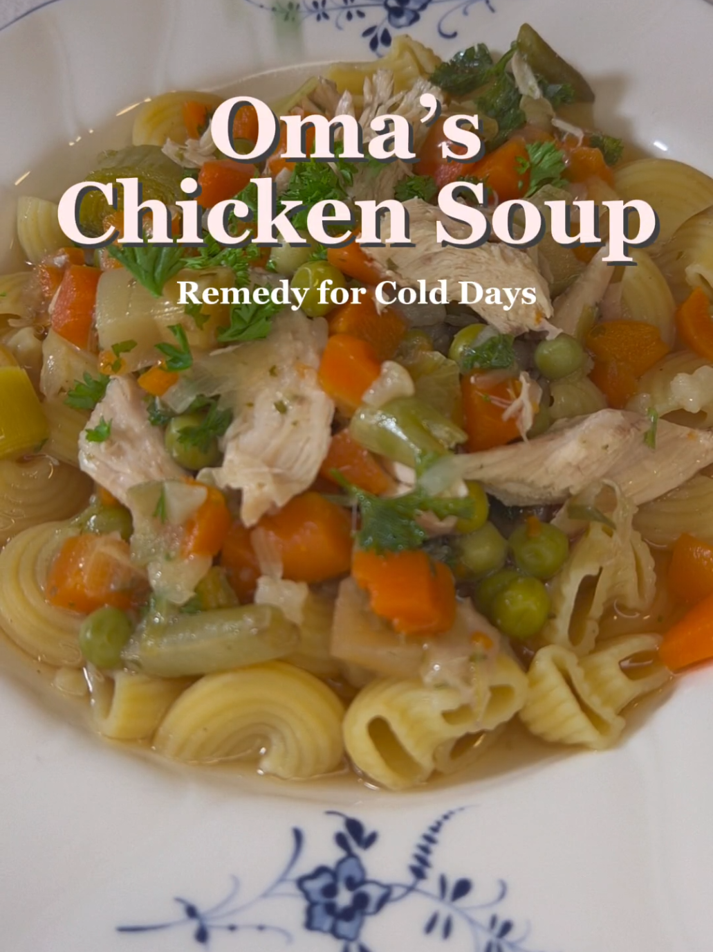 Oma’s Chicken Soup 🥣
Remedy for Cold Days

In Germany, this is what we make when someone gets sick.
A whole chicken, slow-cooked with carrots, celery, leek, peas, beans and cauliflower — about two li