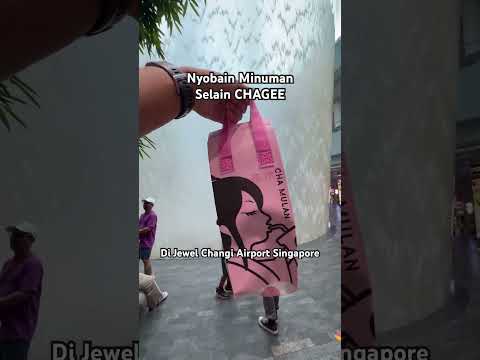 Enak Juga Alternatif Teh Selain Chagee di Changi Airport Singapore! Lebih MURAH!!!! CHA MULAN.