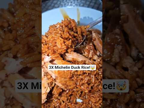 Extreme Grumpy Face😠 3X Michelin Hawker but...🤯😭😈 duck rice 鸭饭Cheok Kee 祝记
